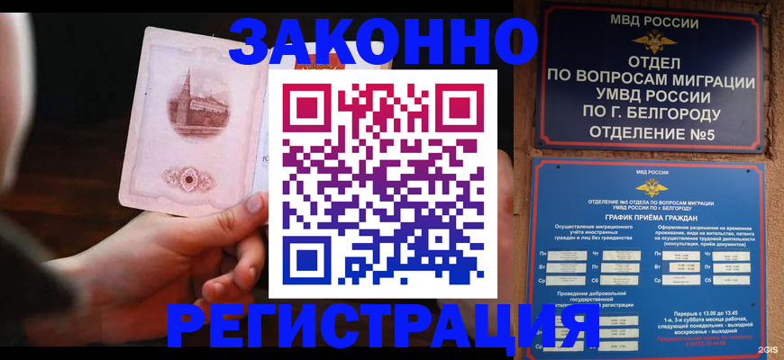 прописка 2025 в Мытищах